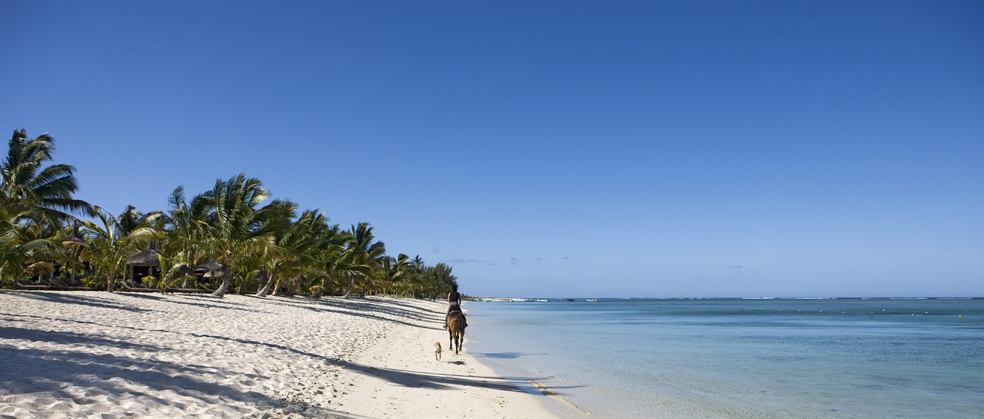 Cavalier au pas sur une plage de sable blanc bordée de cocotiers, à l’île Maurice