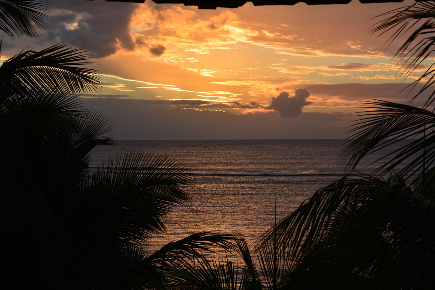 Coucher de soleil orangé sur l&rsquo;océan Indien derrière les palmiers, sur la côte ouest de l&rsquo;île Maurice