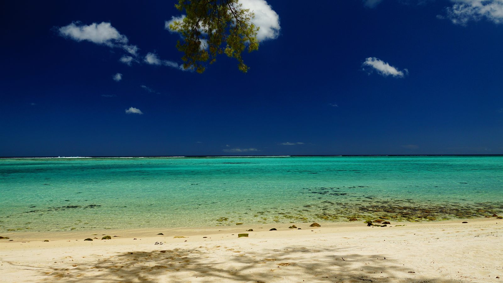Plage de sable blanc et lagon turquoise bordés de filaos sur la côte nord de l’île Maurice