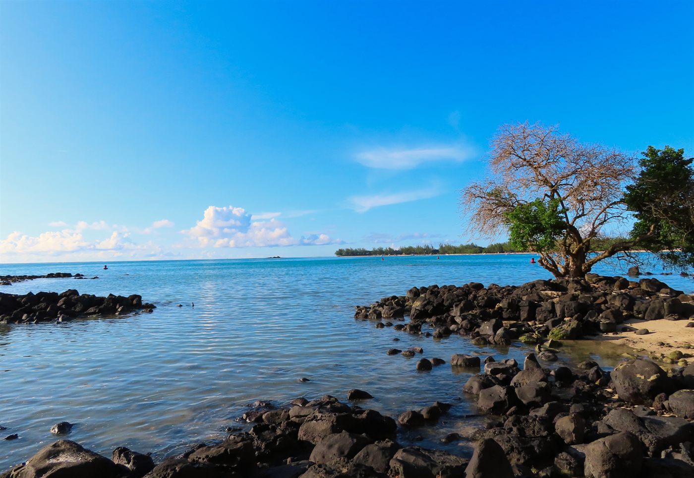 Crique préservée bordée de rochers volcaniques sur le littoral ouest de l’île Maurice