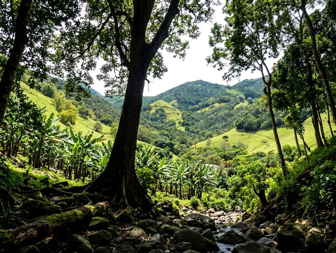 Collines boisées et vallée de Ferney vues depuis un sentier, dans le sud-est de l’île Maurice
