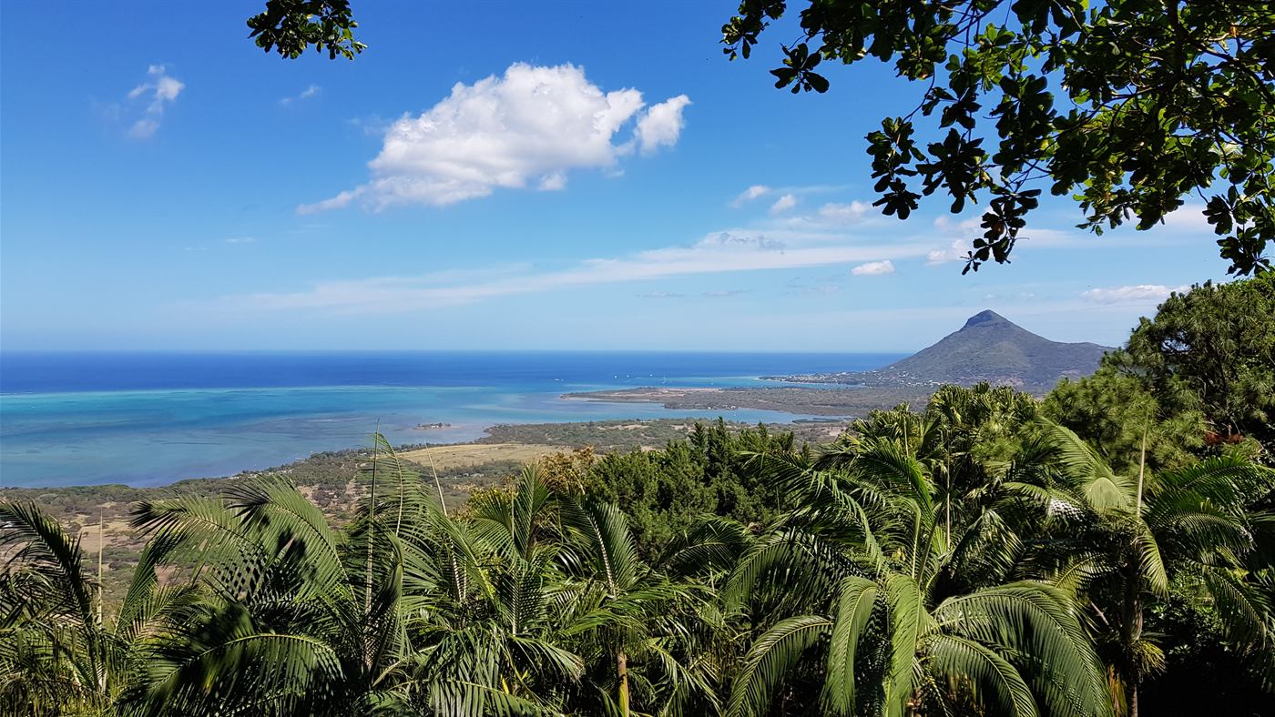 Vue sur la baie de Rivière Noire, le lagon et la Tourelle du Tamarin depuis les hauteurs boisées du parc