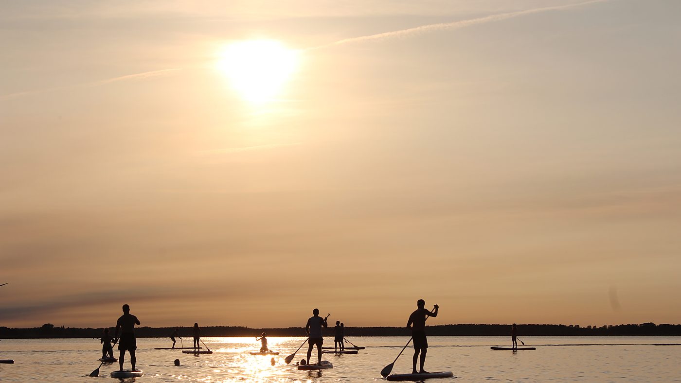 Groupe de pratiquants de stand up paddle en silhouette sur une eau plate au coucher du soleil