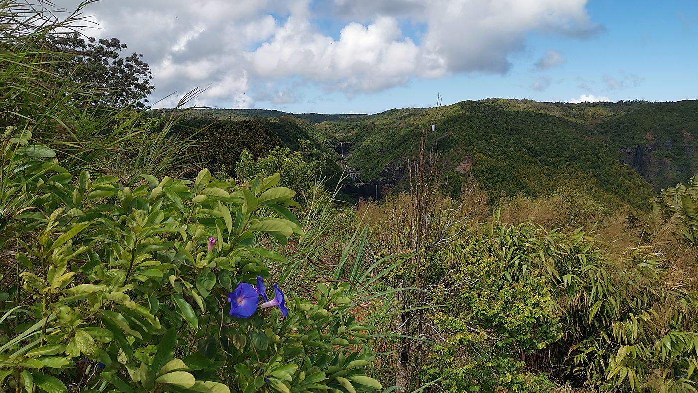 Vallée boisée des sept cascades vue depuis les hauteurs d&rsquo;Henrietta, à l&rsquo;île Maurice
